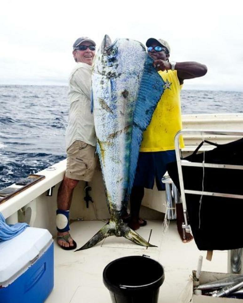 XL Mojo Rising - Mahi